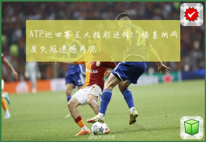 ATP巡回赛五大精彩逆转：福基纳两度失冠遗憾再现