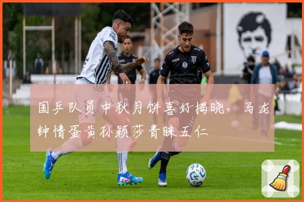 国乒队员中秋月饼喜好揭晓,马龙钟情蛋黄孙颖莎青睐五仁