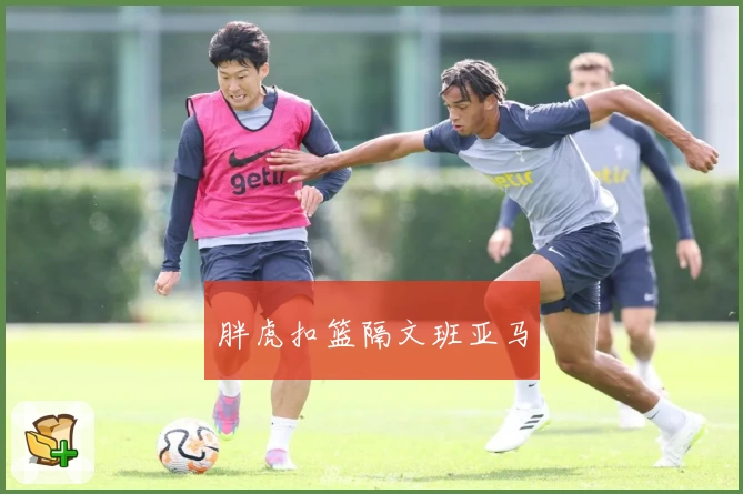 胖虎扣篮隔文班亚马